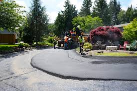 Best Driveway Snow Removal Preparation  in Chicago Ridge, IL